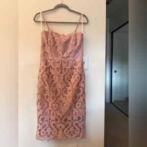 Bardot Strapless Lace Dress in Blush Pink